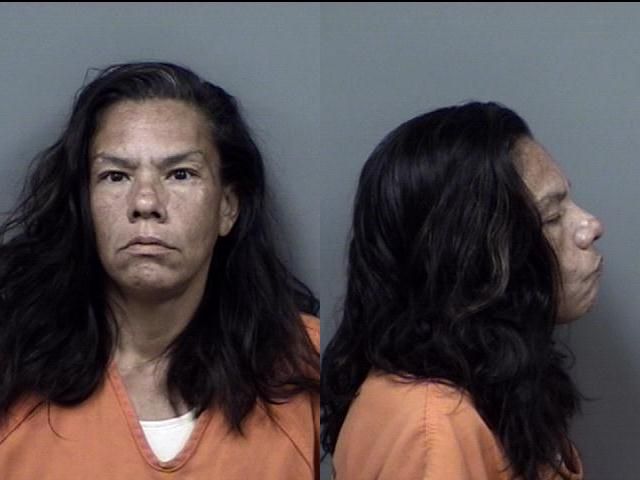 Marianne Leato arrested July 2 on a misdemeanor charge of domestic battery.